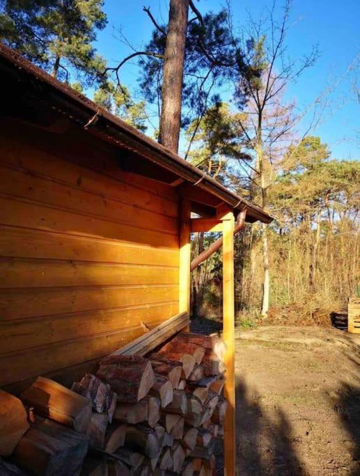 科尼斯乌特豪森Haus Clemens - Gemuetliches Holzhaus Mit Grundstueck别墅 外观 照片
